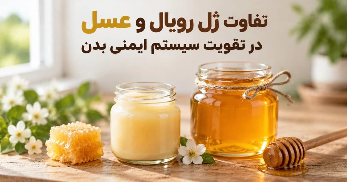 تفاوت ژل رویال و عسل در تقویت سیستم ایمنی بدن
